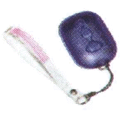 BBee�ǉ������R��