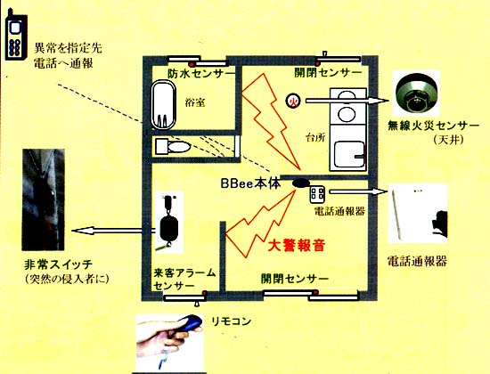 BBee��t�ጩ���}