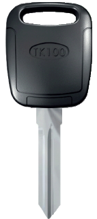 �C���r���C�U�[�������{