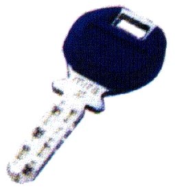 �J�o�X�^�[(KABA STER)���O���ʎ{�������Ⴂ�ˏ�